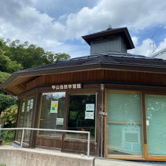 クーリングスポット🎐