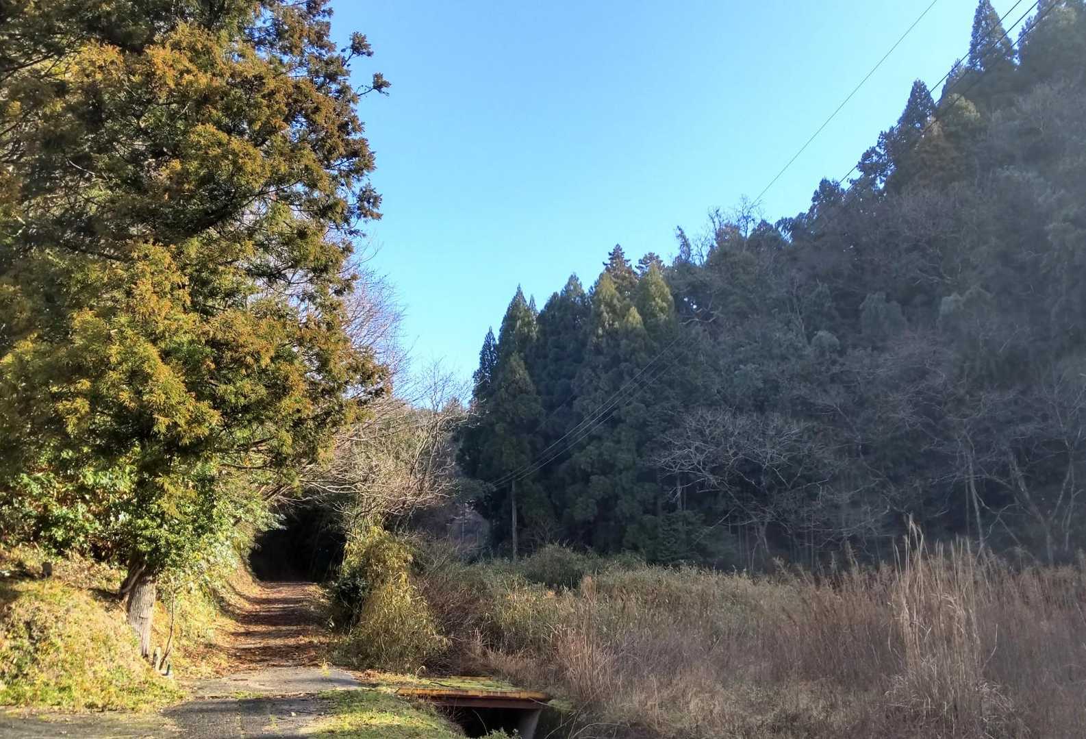 振り返って
ここに出て来ました
青空になって良かった～

ありがとうございました🙏

