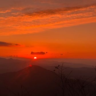 一応グラサン越しも😎