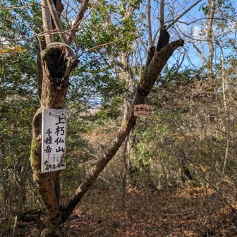 かみくちぼとけやま
山頂