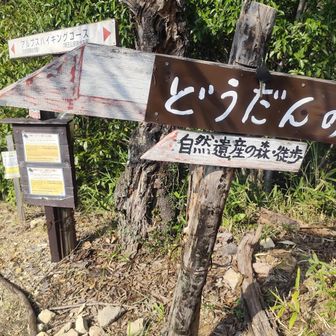 案内はこれもありました。どうだんのみちは左らしい。各務野自然遺産の森も左から行くみたいです。