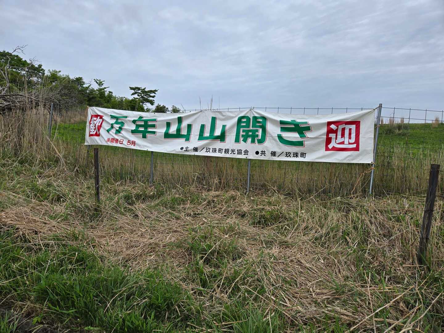 万年山 往復コースの写真