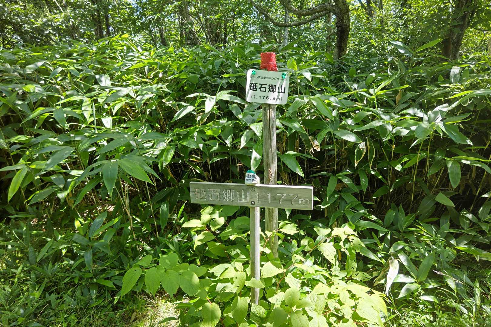 砥石郷山山頂⛰️