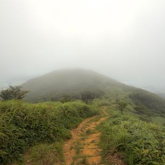 八丁。
まだ薄ガスが残ってますね、下山します。