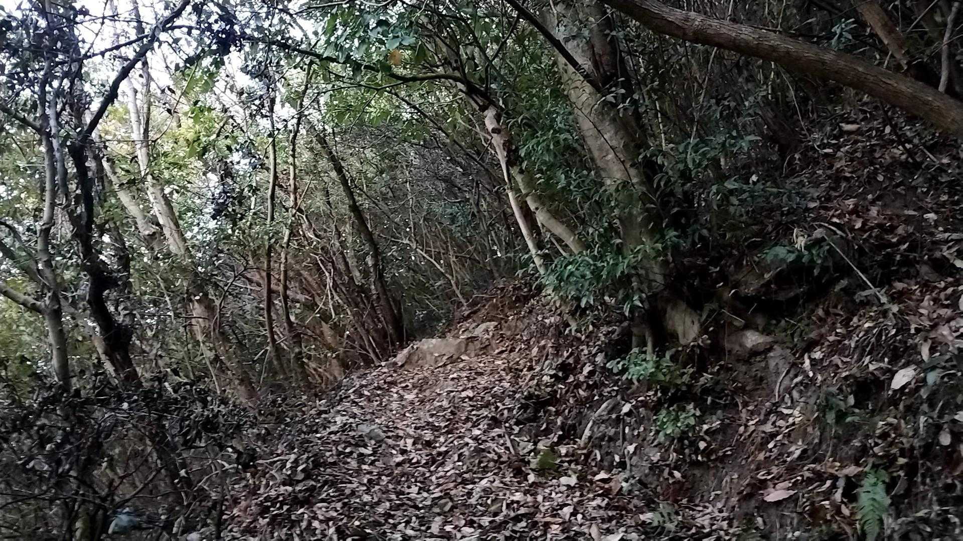 道幅広い