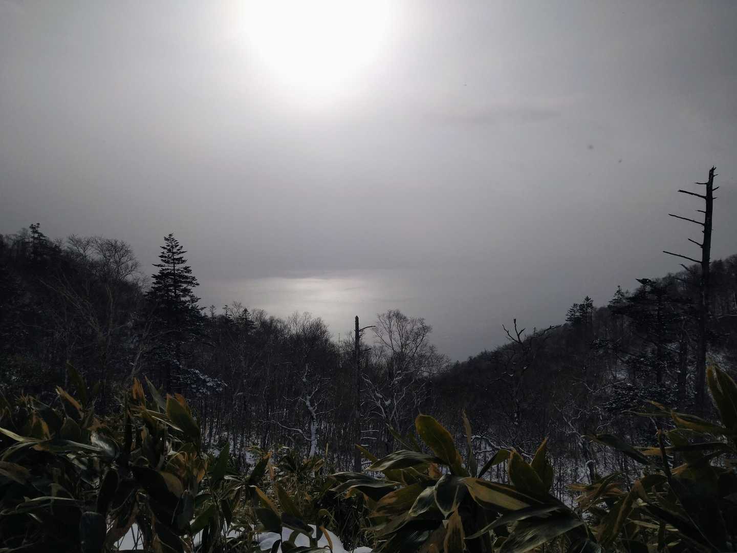 イチャンコッペ山登山口-イチャンコッペ山-幌平山 周回コースの写真