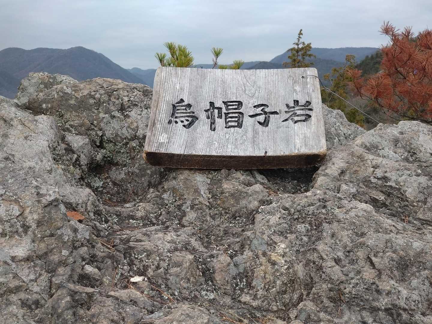 ピーク②🪧