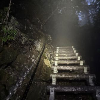 雨雨☂️