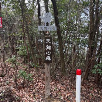 天狗の森⛰️ピークハント