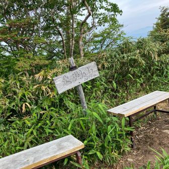 大判山でソイジョイをかじってエネルギーを補充