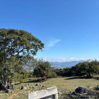 綺麗に整備されて広い山頂でした👏