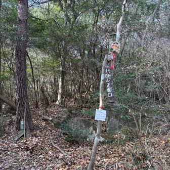 ここもお正月仕様🎍

ちなみにこの近くにナンバープレート　「178」
の車がっ🚗

きっと仲間に違いないっ‼️