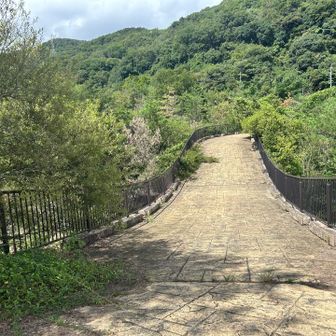 六甲の万里の長城？　