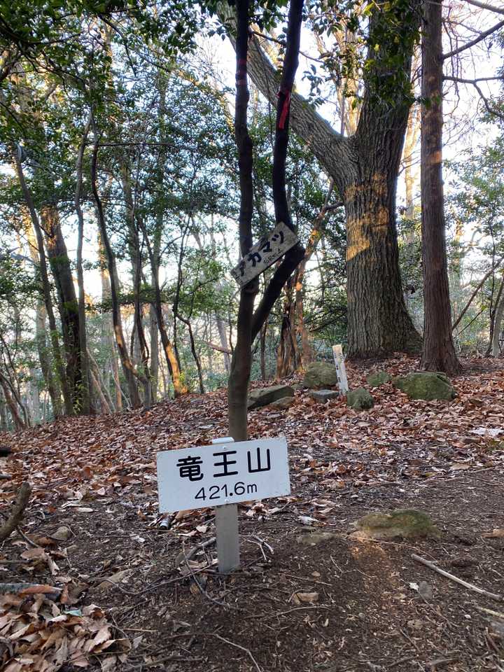 山頂に到着です。奥に三角点もあります。