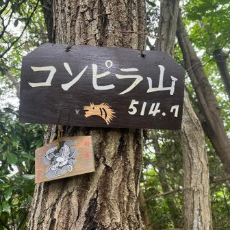 コンピラ山🐉