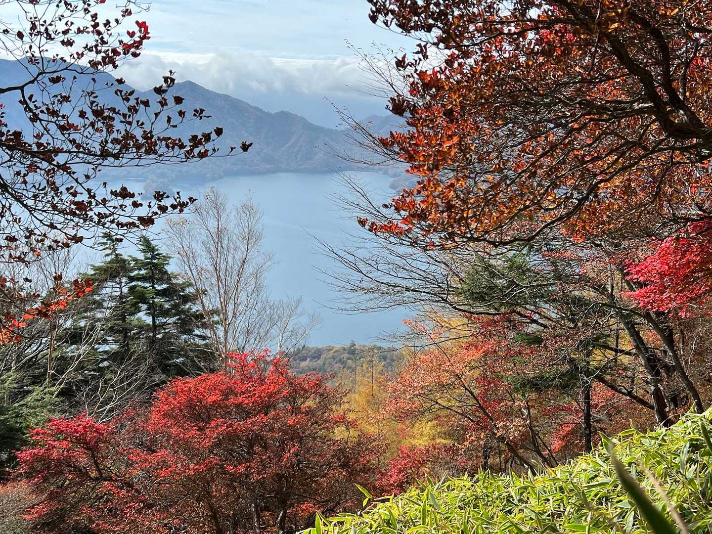 二荒山神社-男体山 往復コースの写真