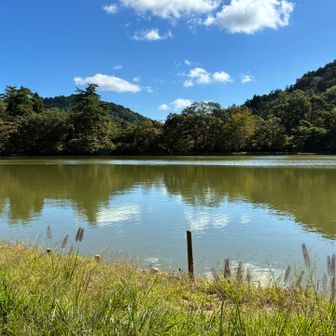 今日はいい天気