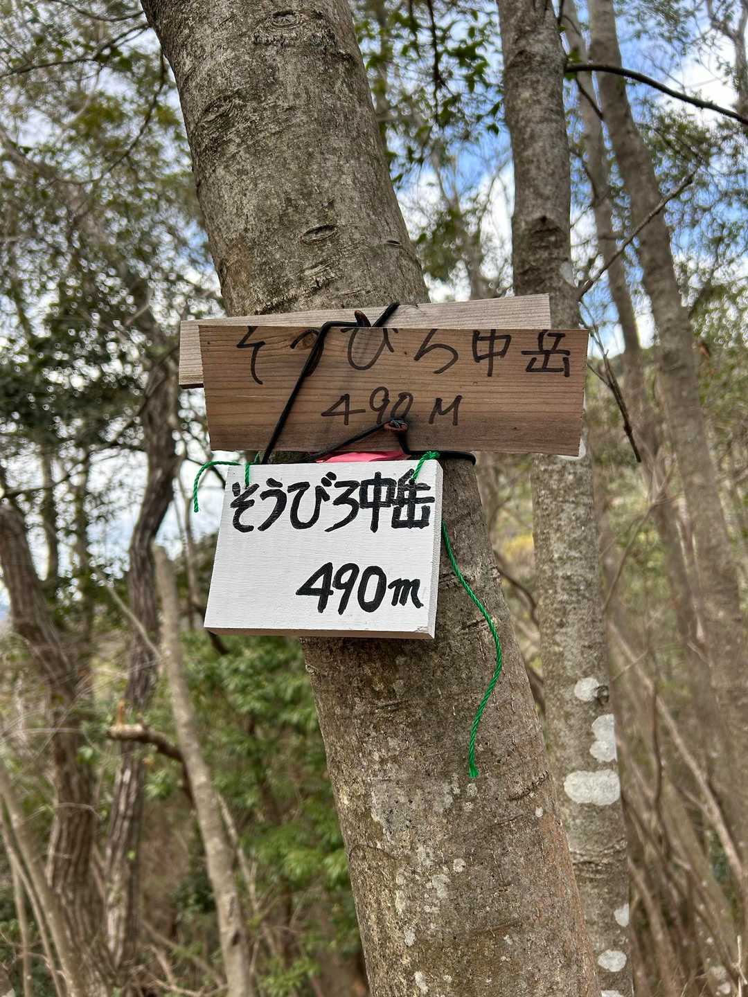 ４座目
全然大丈夫でしたよ！