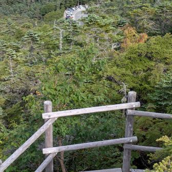 白く見える所が駐車場です