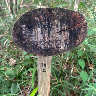 道帰り山？
帰り道じゃないんだ。セブンサミッツ最後の一座⛰️