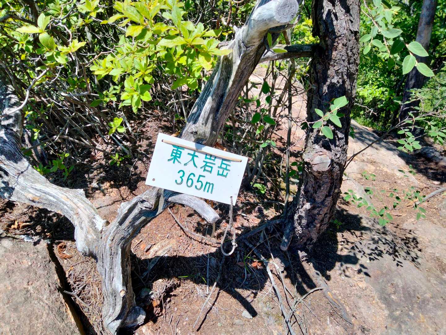 東大岩ヶ岳
