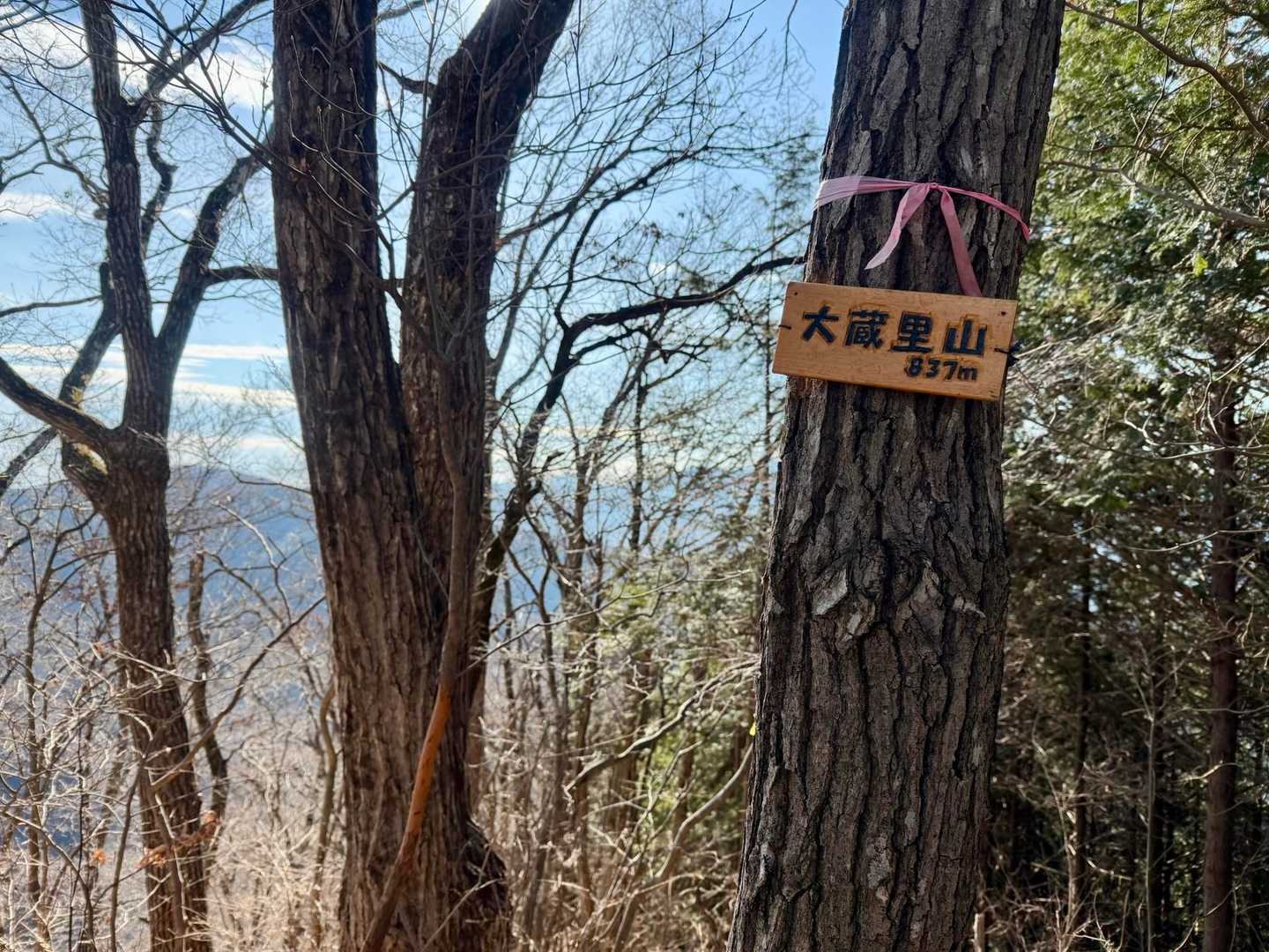 大蔵里山登頂。