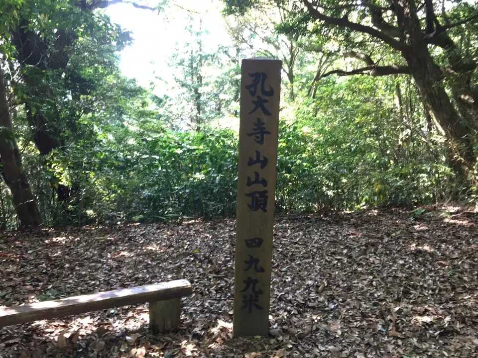孔大寺山の写真