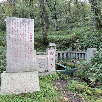 赤城神社の御神水🙏