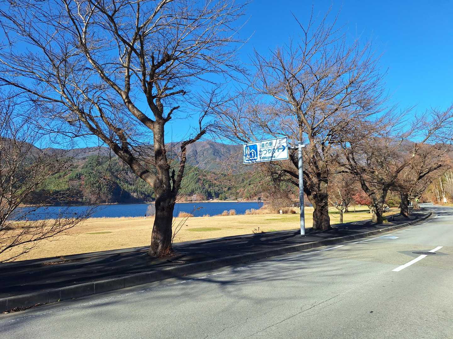 帰りは来た道戻ってゴール🚩
