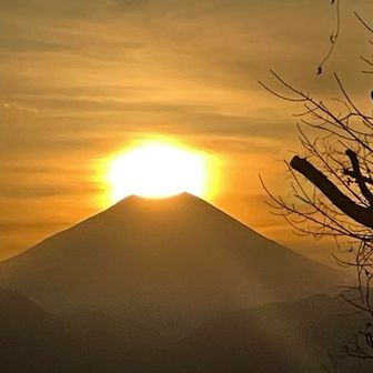 ありがたやぁぁ