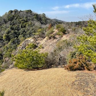 振り返って歩いてきた道　