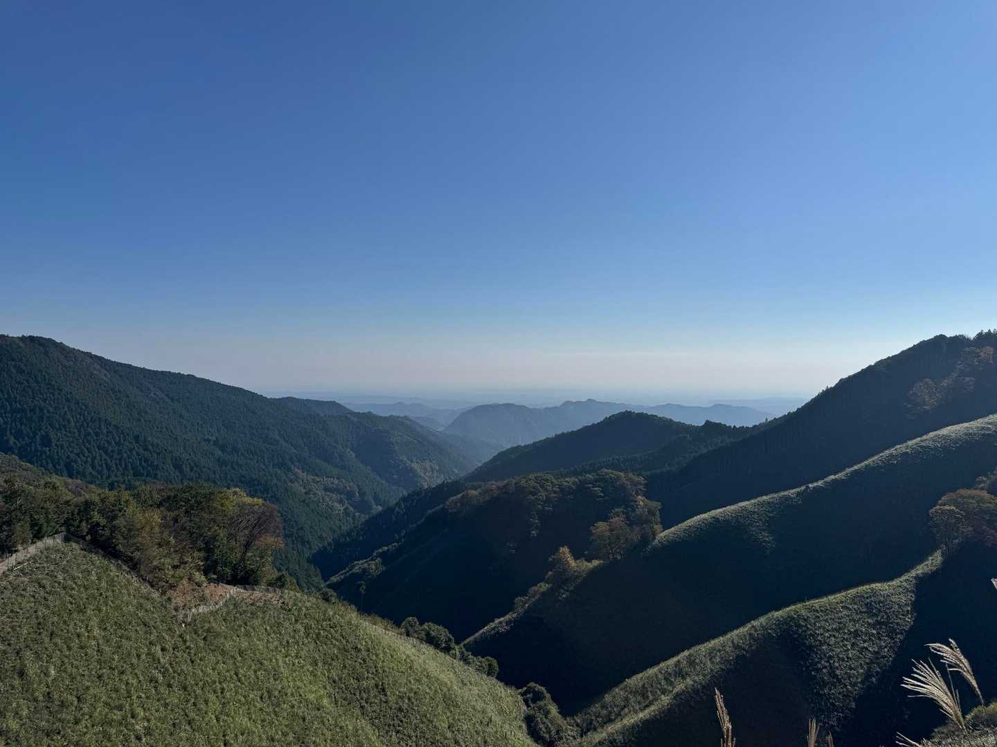 高水三山縦走コースの写真