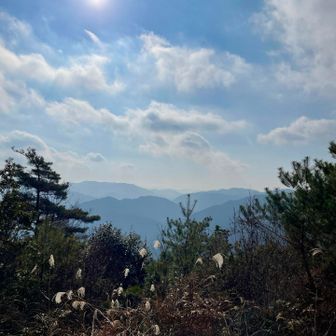 山頂に戻って来た
しばし小休止☕️