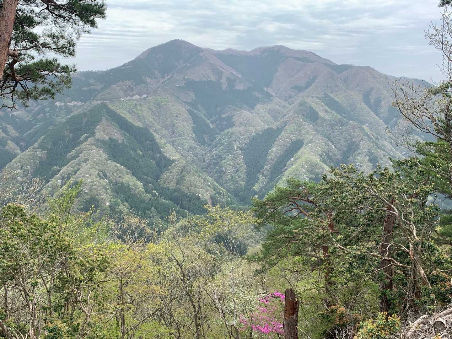 須留ヶ峰、どお〜ん⛰️