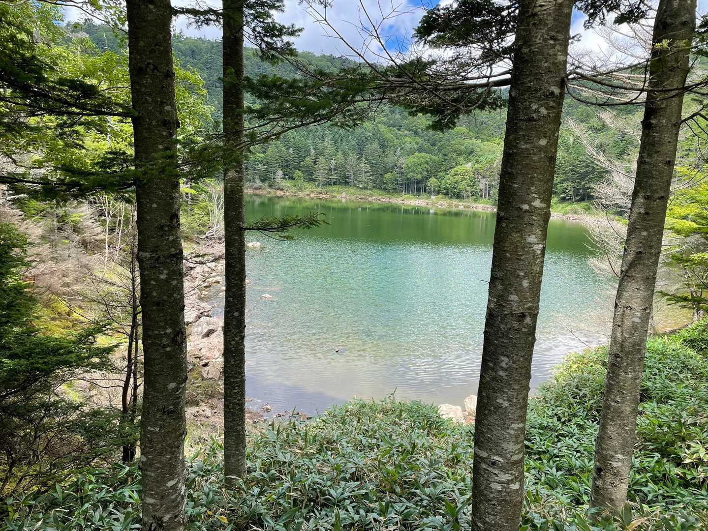 大河原峠-双子山 周回コースの写真