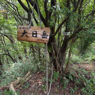 下山開始　大日岳へも