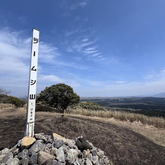 眩しい😂ツームシ山⛰️