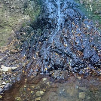 滝の方へ周回　二段滝