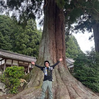 駐車場近くの白山神社
木が大きいね👍