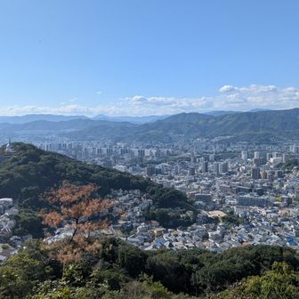 山頂より少し先の、ここが開けてて好き。