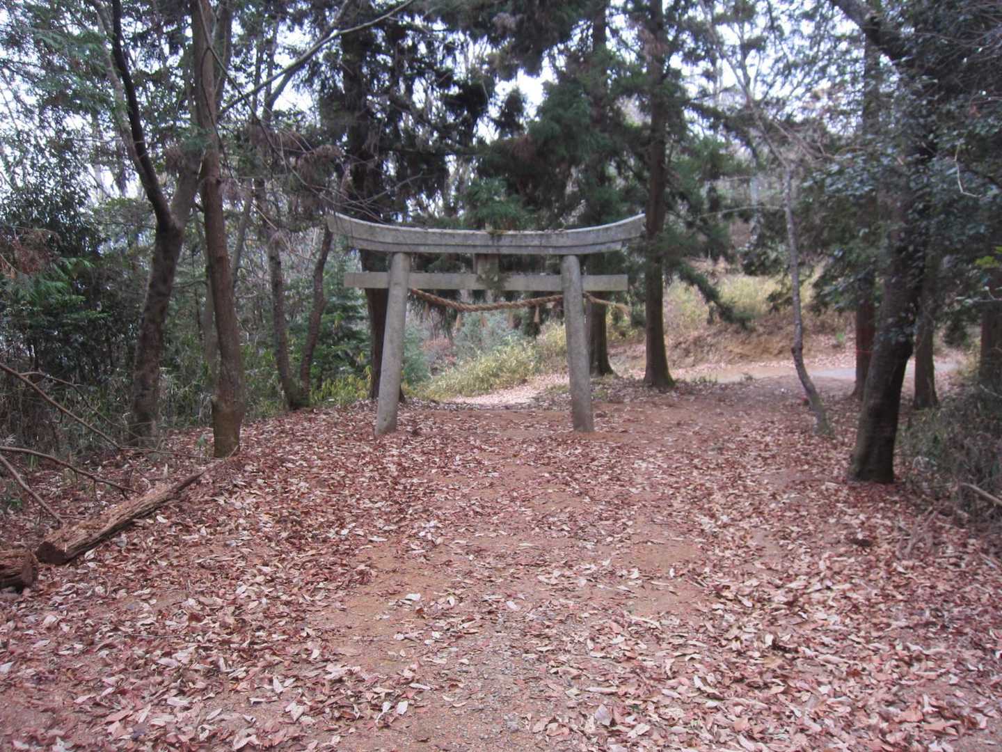１１時、下山開始。　鳥居を潜って山頂の神域を出る。