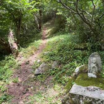 坂田峠登山口から、再び尻高山方面へ😅💦

お地蔵様に、安全祈願🙏