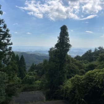 金山山頂ビュー✨