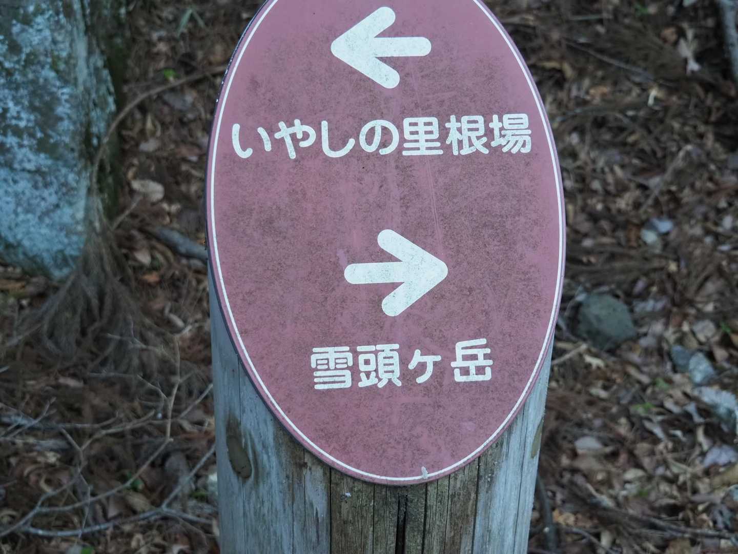 魚眠荘前バス停-雪頭ヶ岳 往復コースの写真