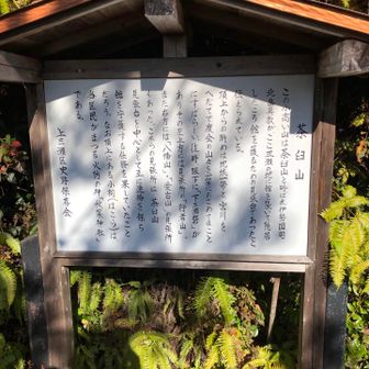 茶臼山の紹介ℹ️