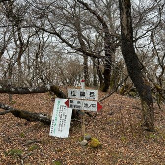 位牌岳あたりから人とすれ違うようになりましたが、この辺りは登山者自体が少ない感じでした