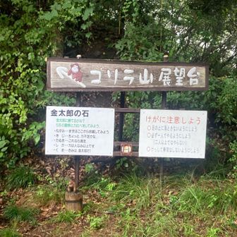 ウホウホ❓