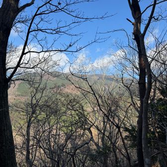 那岐山はチラリと見える程度👀