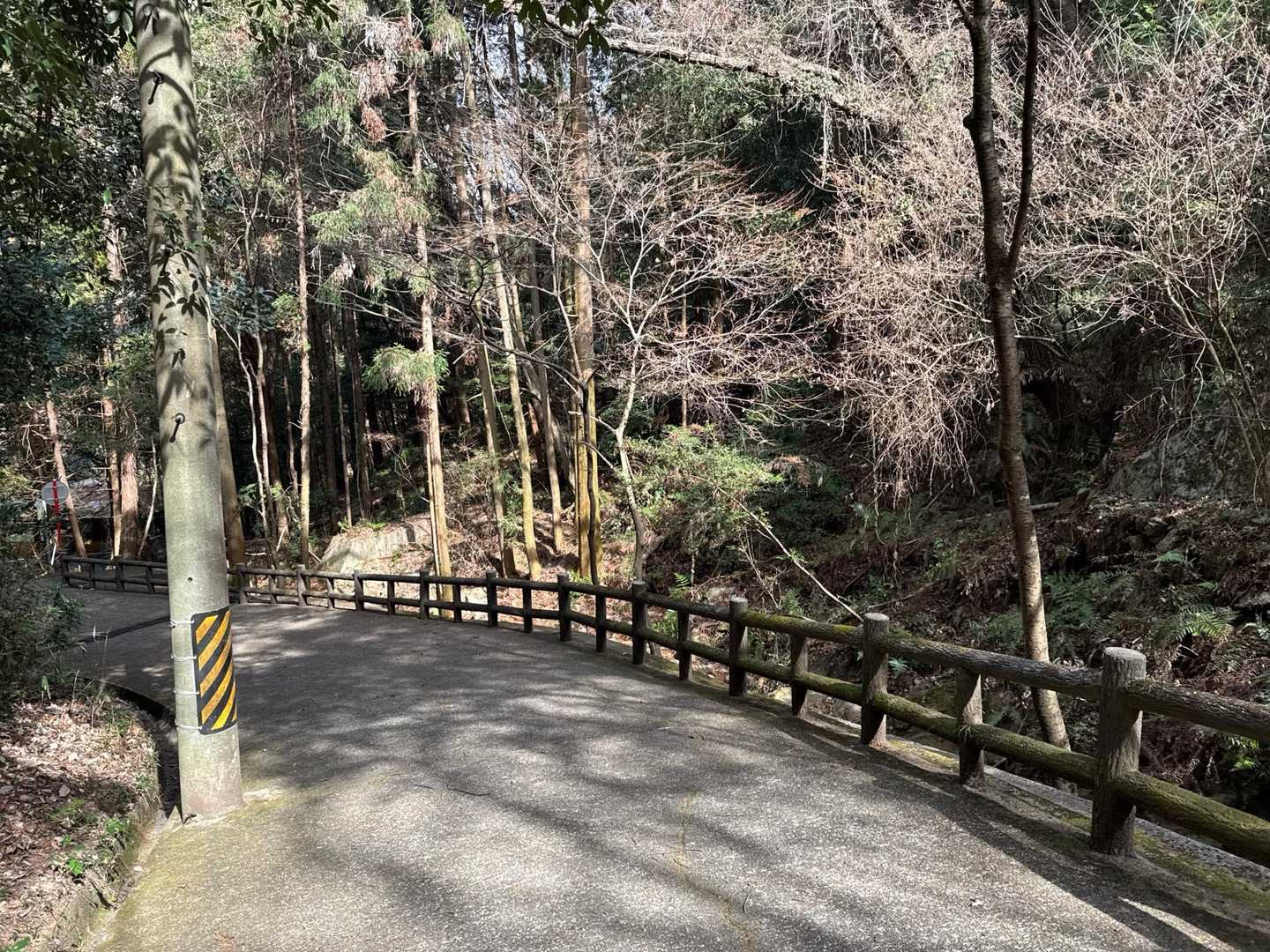 観光地だから道がキレイ
もう少しで到着です🚶‍♀️
