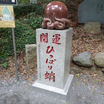 とむ